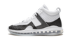 Nike Lebron 10 JE Icon QS WHITE/BLACK